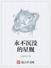 永不沉没的星舰 全本