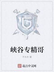 我的次元军团
